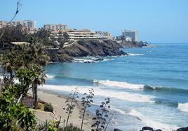Judge orders closure of Benalmádena's dog beach after complaint from local resident