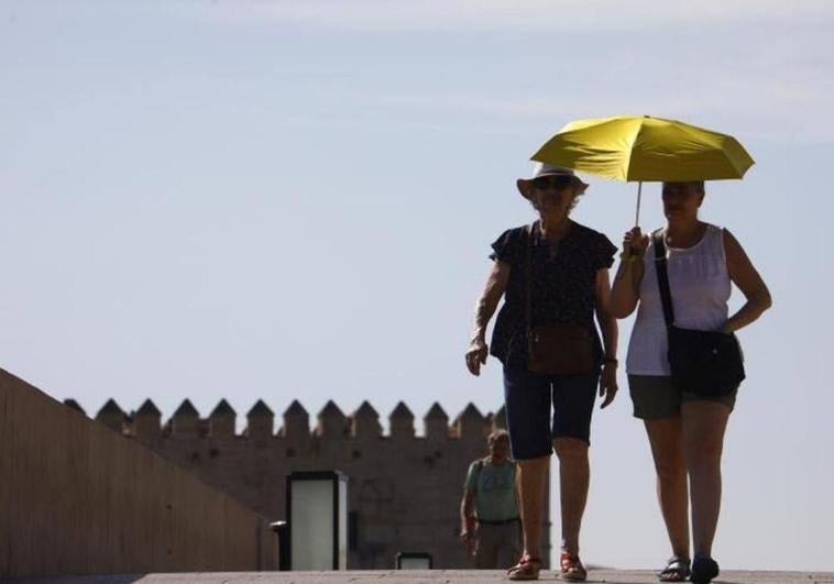 Hot terral wind set to bring temperatures of 35C to parts of Malaga province this weekend