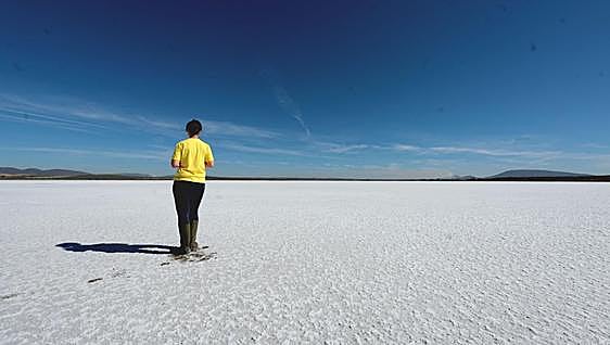 Malaga's famous flamingo lagoon dries up