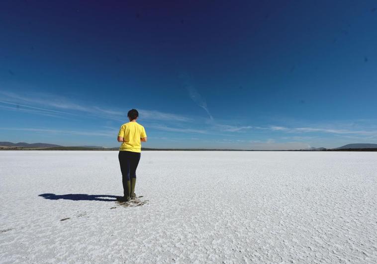 Malaga's famous flamingo lagoon dries up