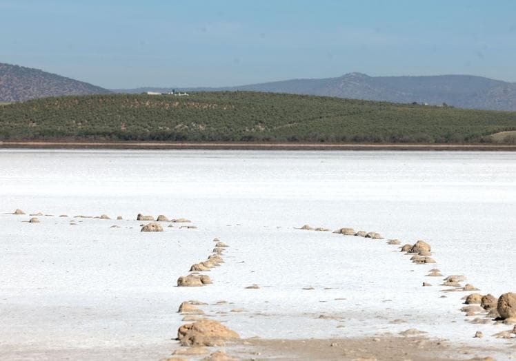 Imagen principal - Malaga&#039;s famous flamingo lagoon dries up