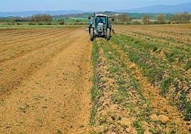 A tax break is on the way for Spain's agricultural sector as it battles drought.