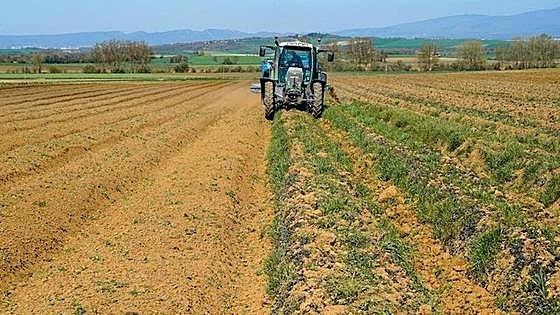 Spanish government reveals tax breaks for farmers battling effects of drought