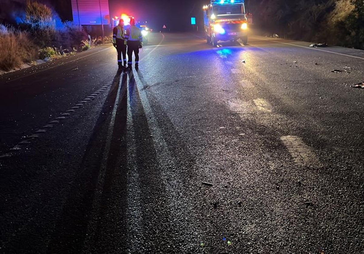 Emergency services at the scene of the crash in the early hours of this Friday morning.