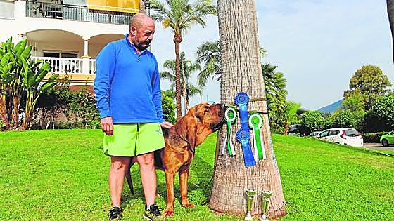 Pluto, the one-of-a kind bloodhound, is already quite an international champion