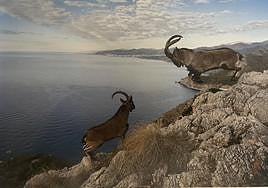 One of the photographs in García Acosta's new book.