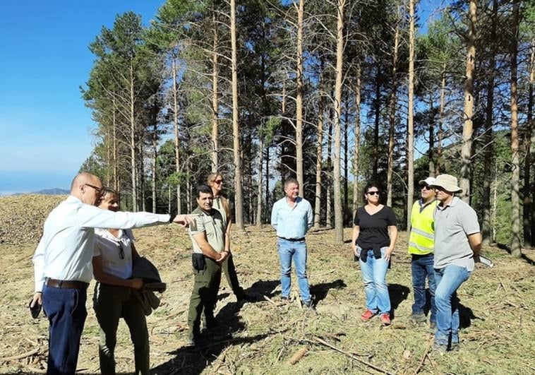 Fire prevention work carried out in Axarquía mountains as drought continues