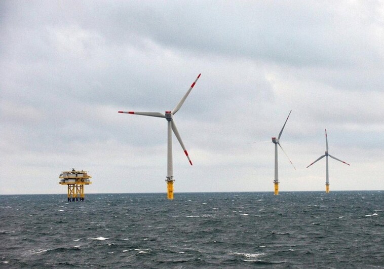 Minority environmental groups voice concerns about offshore wind farm on the Costa del Sol