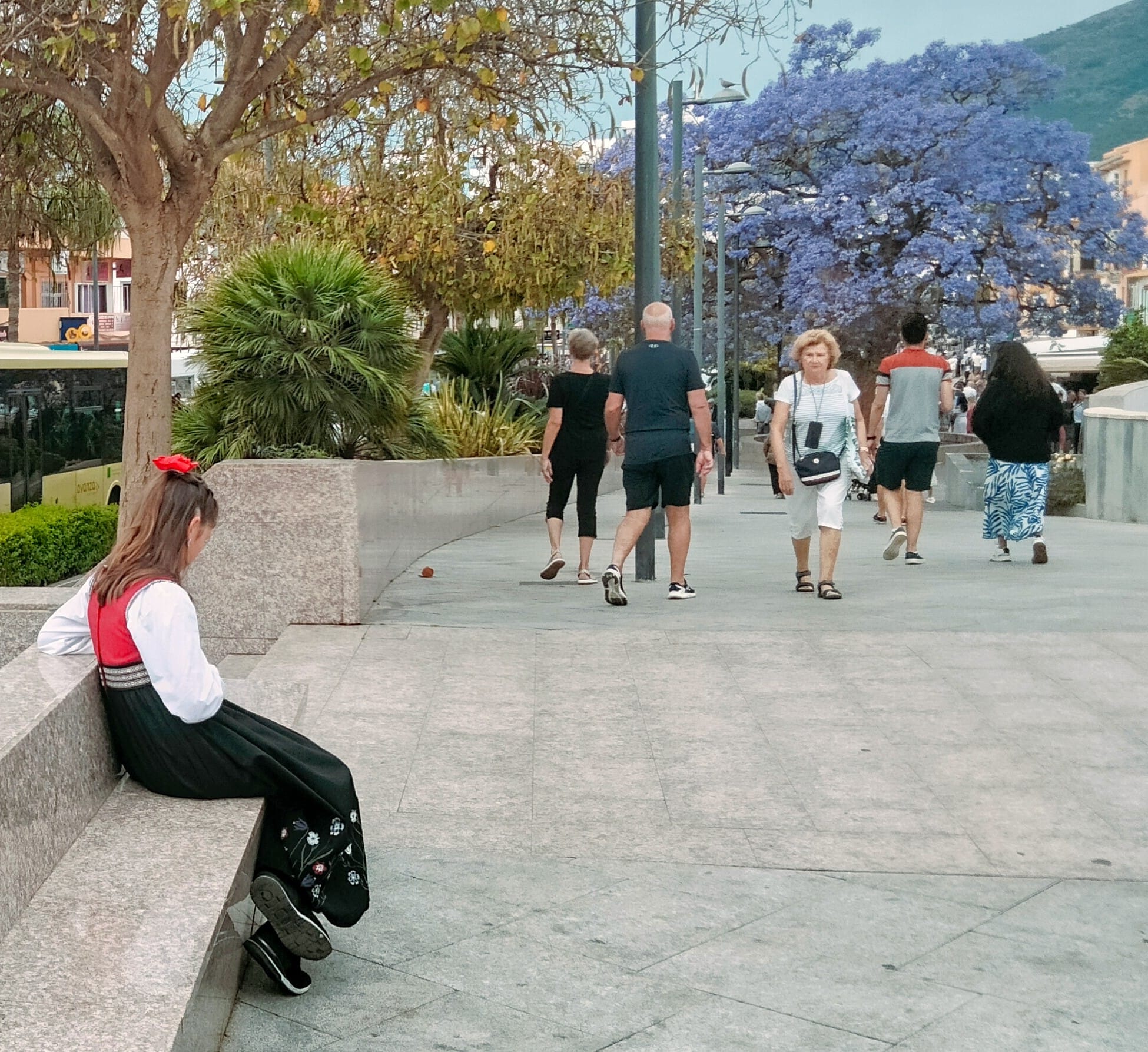 Norway's Constitution Day marked on Costa del Sol, in pictures