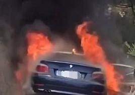 Customers duck for cover as two men fire multiple gunshots inside café in San Pedro Alcántara