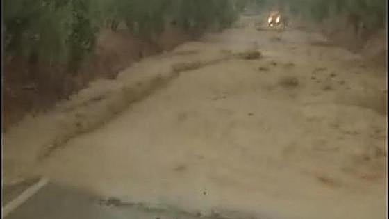 Watch as sudden downpour causes flooding and cuts main road in Malaga province