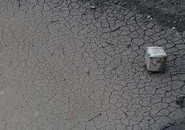 The state of the Limonero reservoir, in Malaga city.