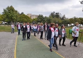 A previous walk to mark No Tobacco Day in Torremolinos.