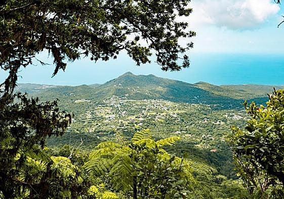 A view of the island from Mount Nevis.