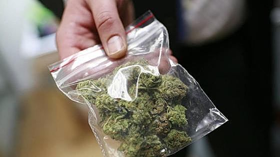 Pain relief society demands cannabis law to allow therapeutic use in Spain