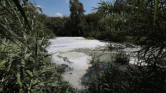 The dirty truth about the Guadalhorce: sewage, rubbish and dead animals