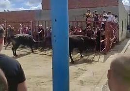 Young man fatally gored during bull-running event in a town in Toledo