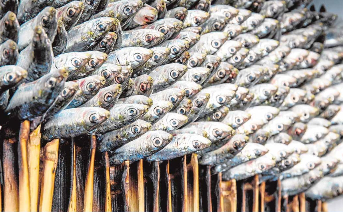 Espetos. The sardine ones are a Malaga cuisine classic