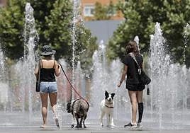 Temperatures set to soar to 35C in Malaga as hot 'terral' wind sweeps across the province