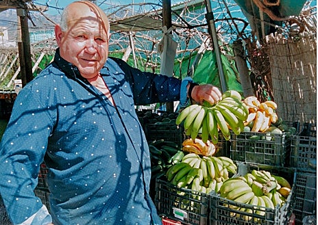 Imagen secundaria 1 - Miguel's variety.