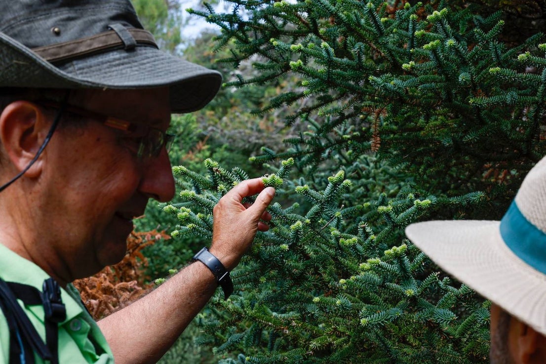 Drought and survival in the Sierra de las Nieves