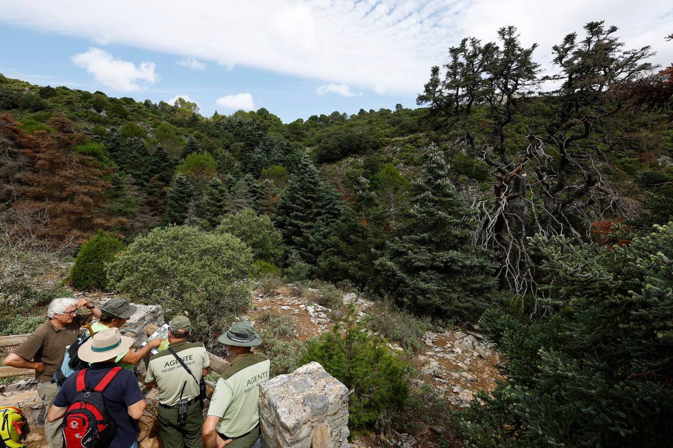 Drought and survival in the Sierra de las Nieves
