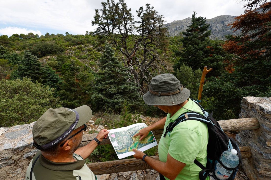 Drought and survival in the Sierra de las Nieves