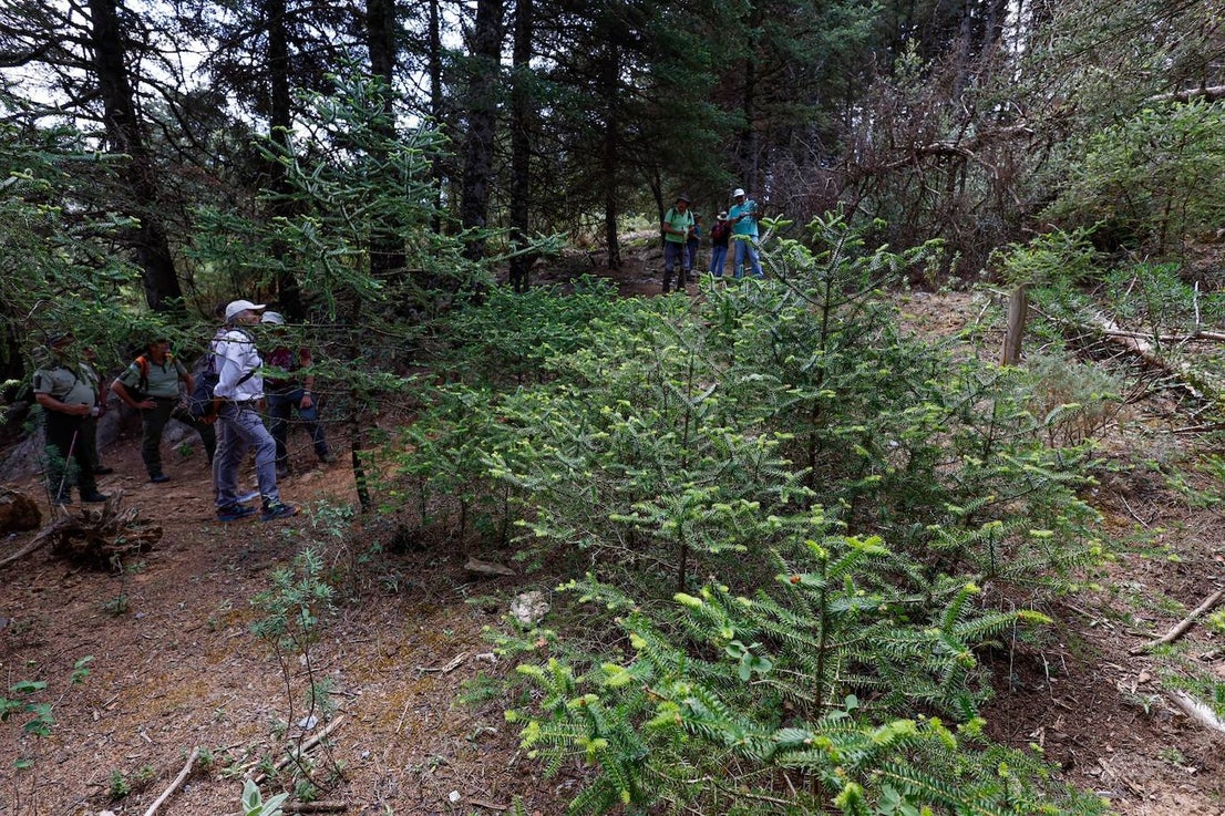 Drought and survival in the Sierra de las Nieves
