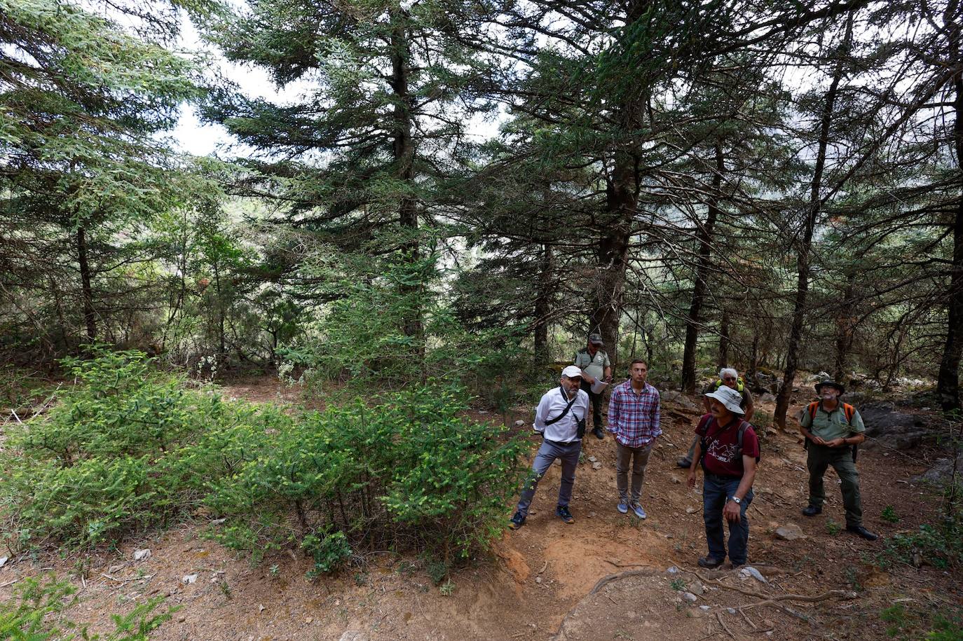 Drought and survival in the Sierra de las Nieves