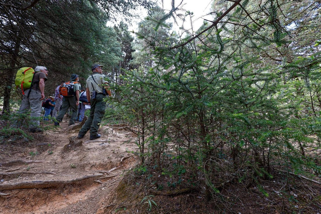 Drought and survival in the Sierra de las Nieves