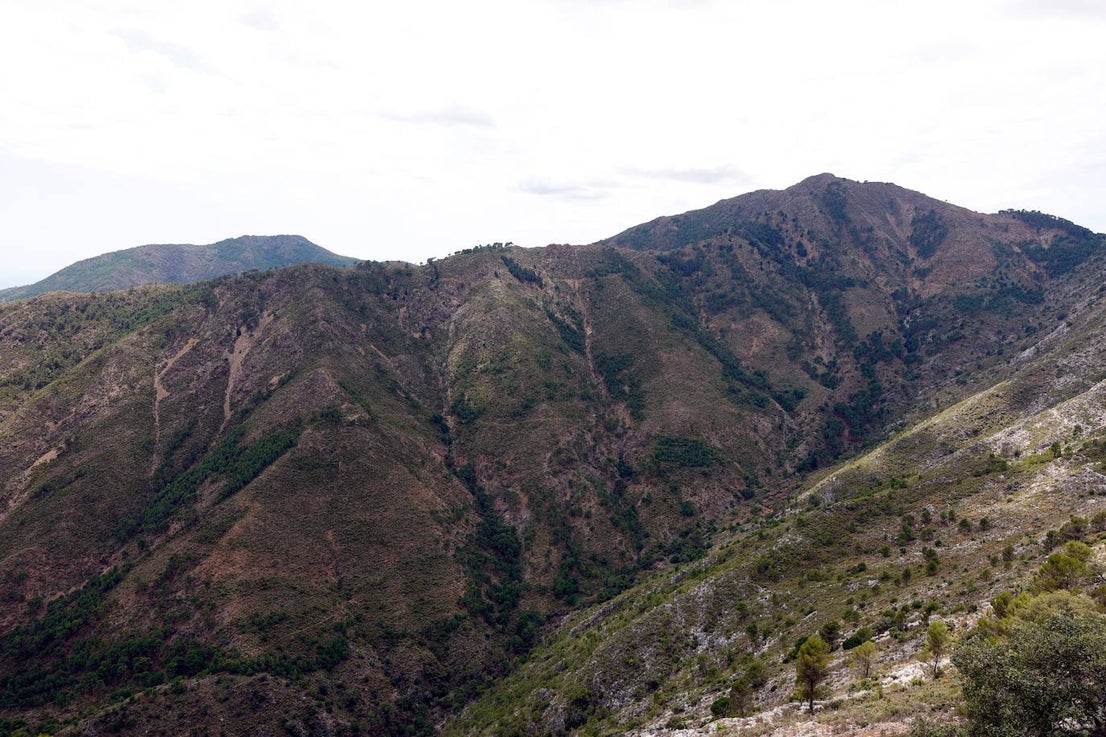 Drought and survival in the Sierra de las Nieves