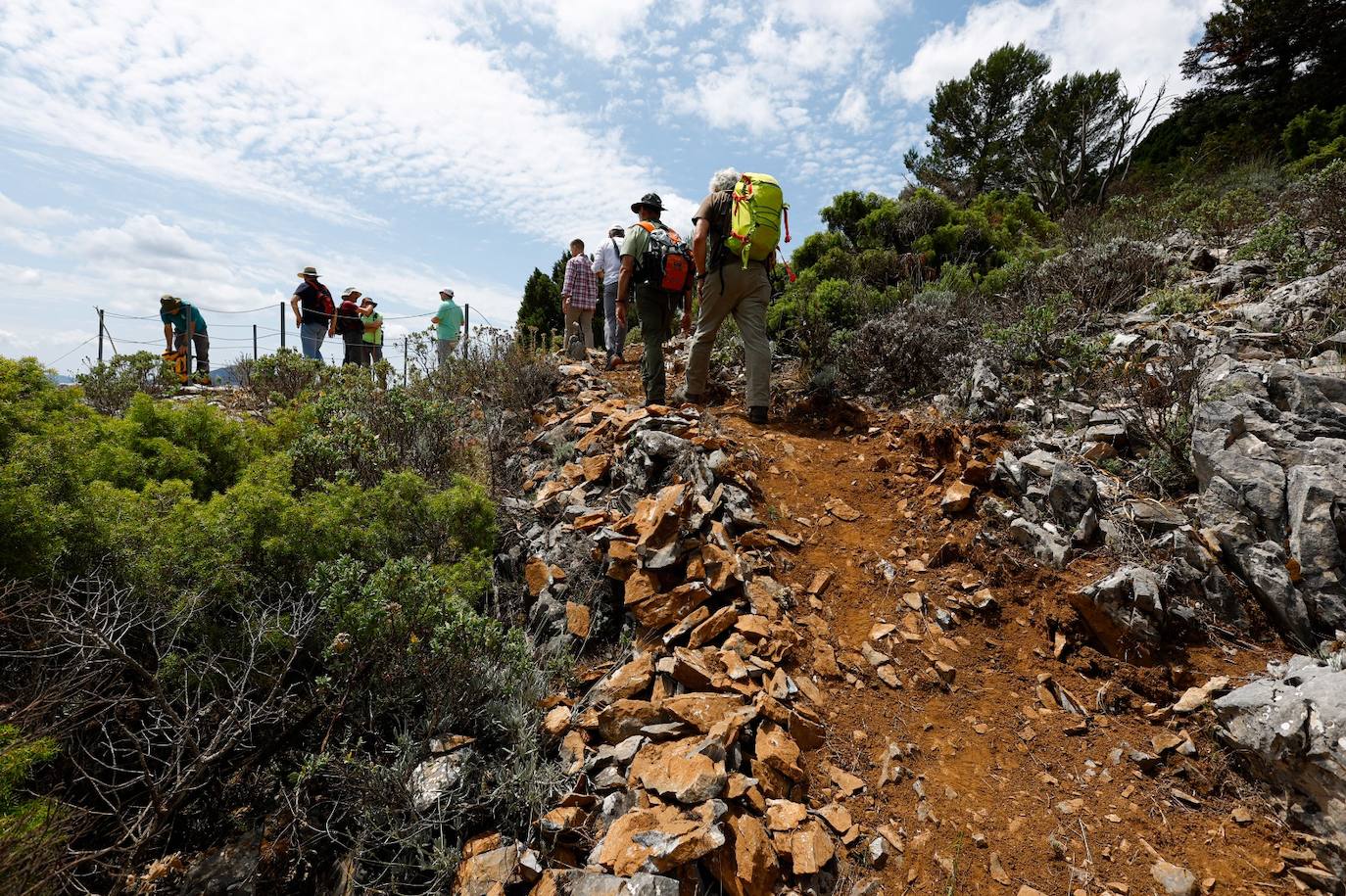 Drought and survival in the Sierra de las Nieves