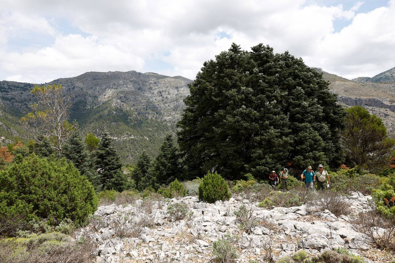 Drought and survival in the Sierra de las Nieves
