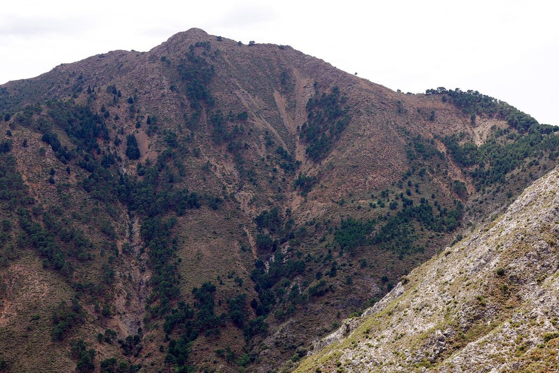 Drought and survival in the Sierra de las Nieves