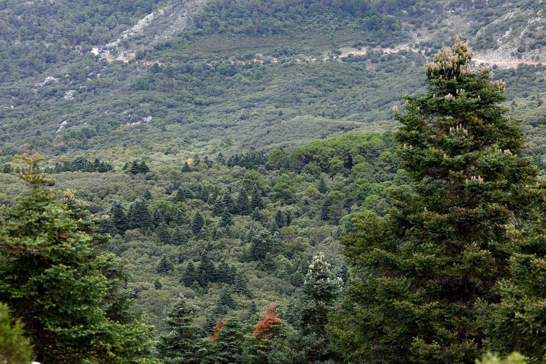 Drought and survival in the Sierra de las Nieves