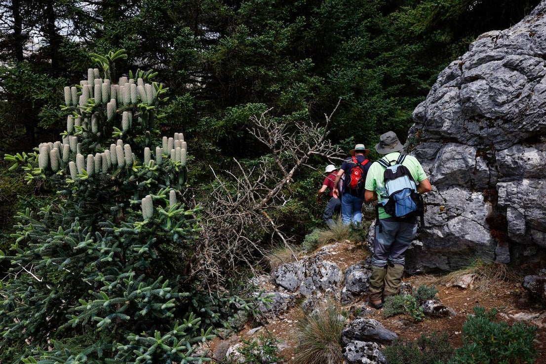 Drought and survival in the Sierra de las Nieves