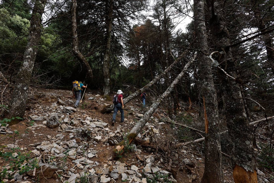 Drought and survival in the Sierra de las Nieves