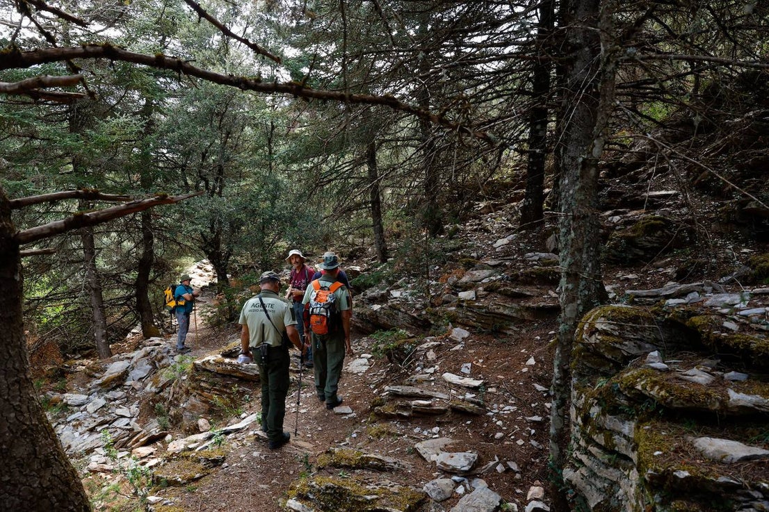 Drought and survival in the Sierra de las Nieves