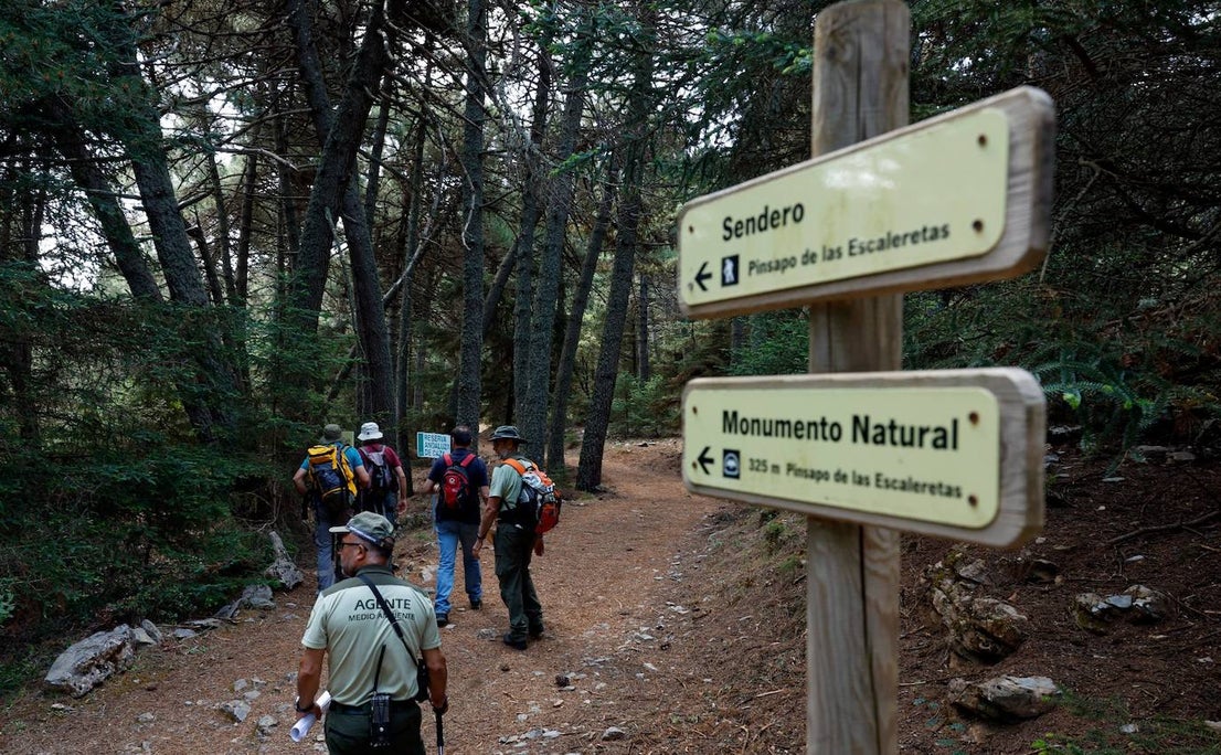 Drought and survival in the Sierra de las Nieves