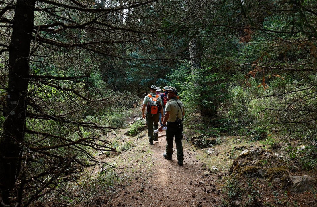 Drought and survival in the Sierra de las Nieves