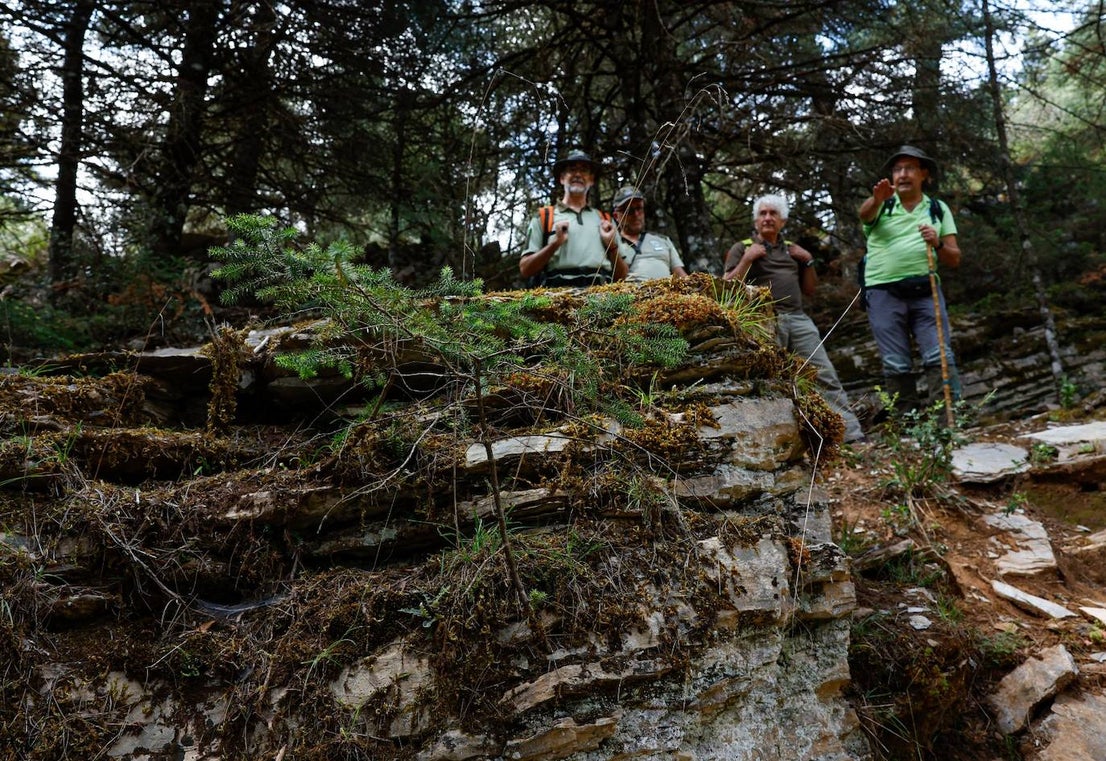 Drought and survival in the Sierra de las Nieves