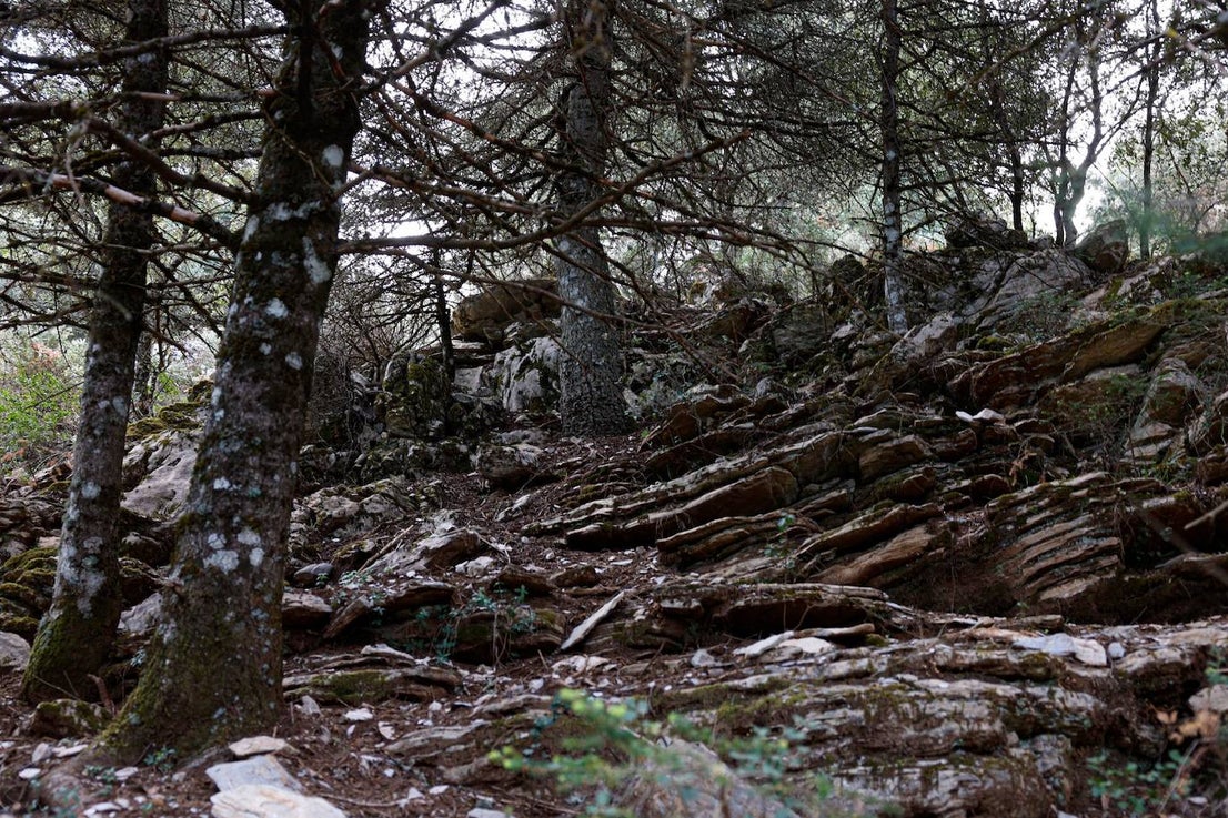 Drought and survival in the Sierra de las Nieves