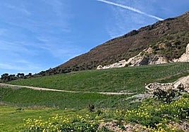 The Río de la Miel illegal dump in Nerja has been cleaned up and restored by the Junta de Andalucía.