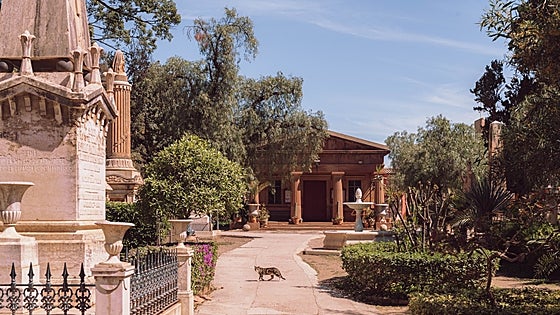 English Cemetery launches Las Noches del Inglés summer cultural events