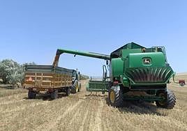 Wheat harvesting in Campillos, in a year that has left the fields with hardly anything to harvest.