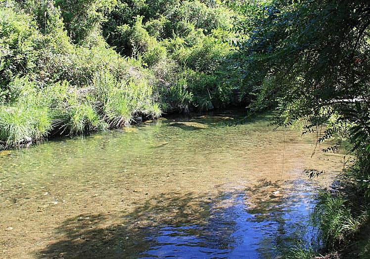 Charca de la Huerta, in the River Verde.