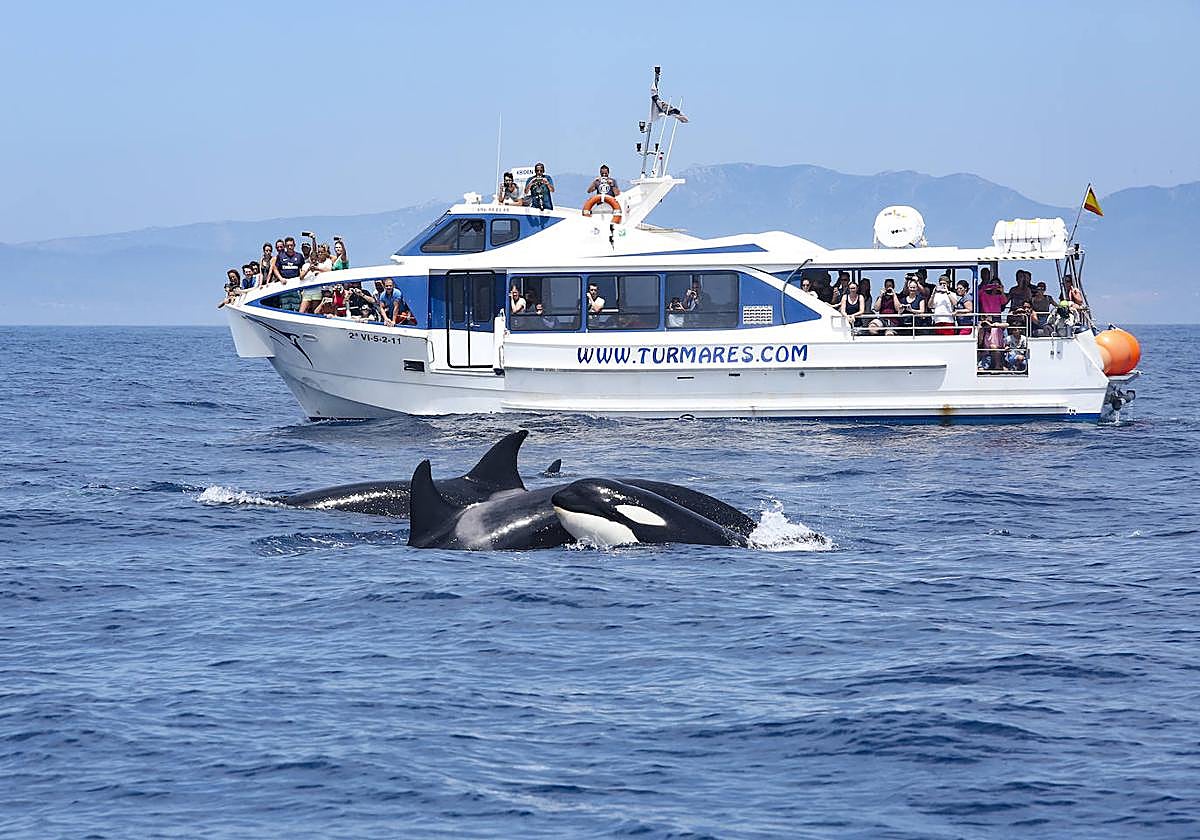 One of the excursion boats on the Strait.
