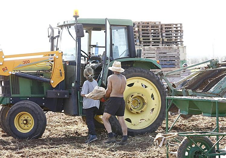 A couple working in the fields recently.