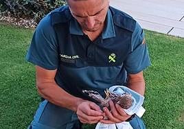 A Guardia Civil officer, with the rescued kestrel.
