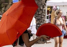 Aemet issues yellow weather alerts for high temperatures in Malaga